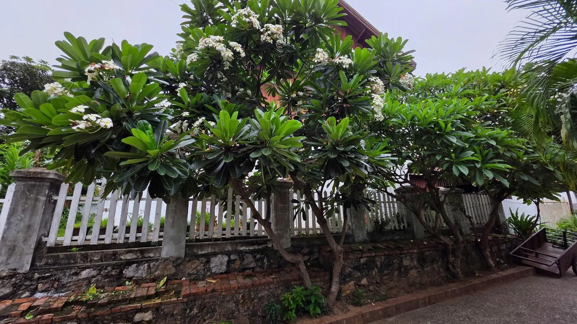Luangprabang Aurora Hostel